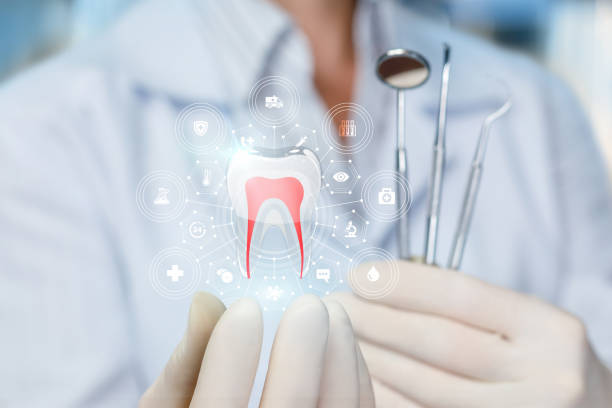Best Cosmetic Dentistry  in Kingston, RI